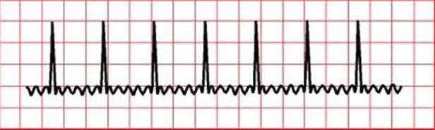 Cardioclinic